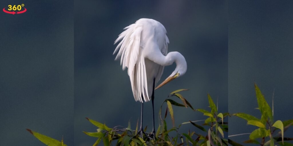 Van Long Nature Reserve Vietnam